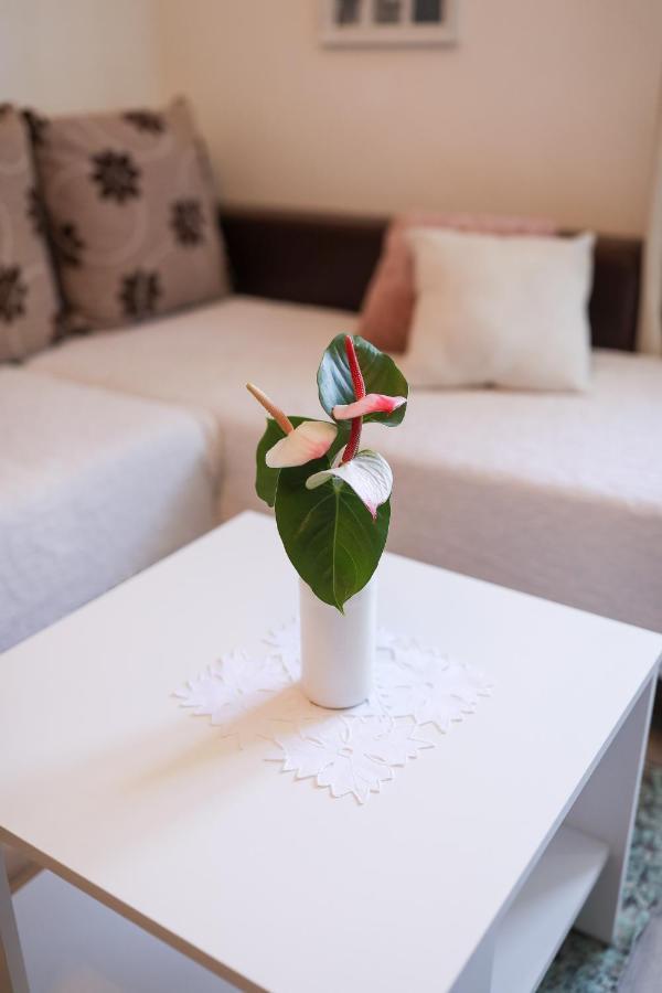 Apartment Rita 扎达尔 外观 照片